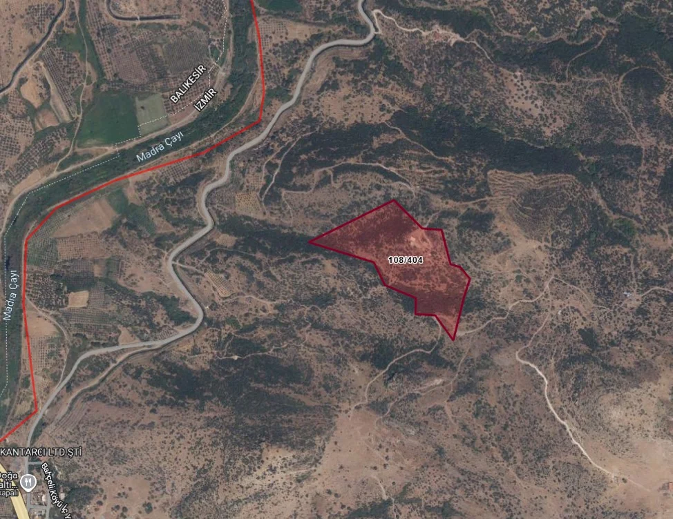 Turpa Arxesten Dikili Bahçeli Mah. Zeytinlik