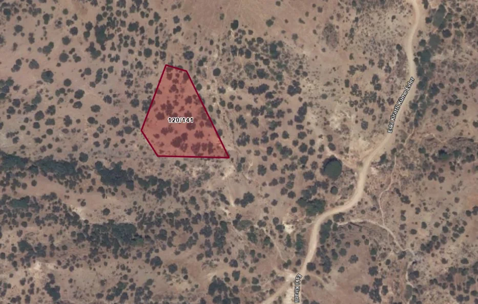 Turpa Arxesten Kıratlı Mahallesinde tarla hissesi satılıktır.